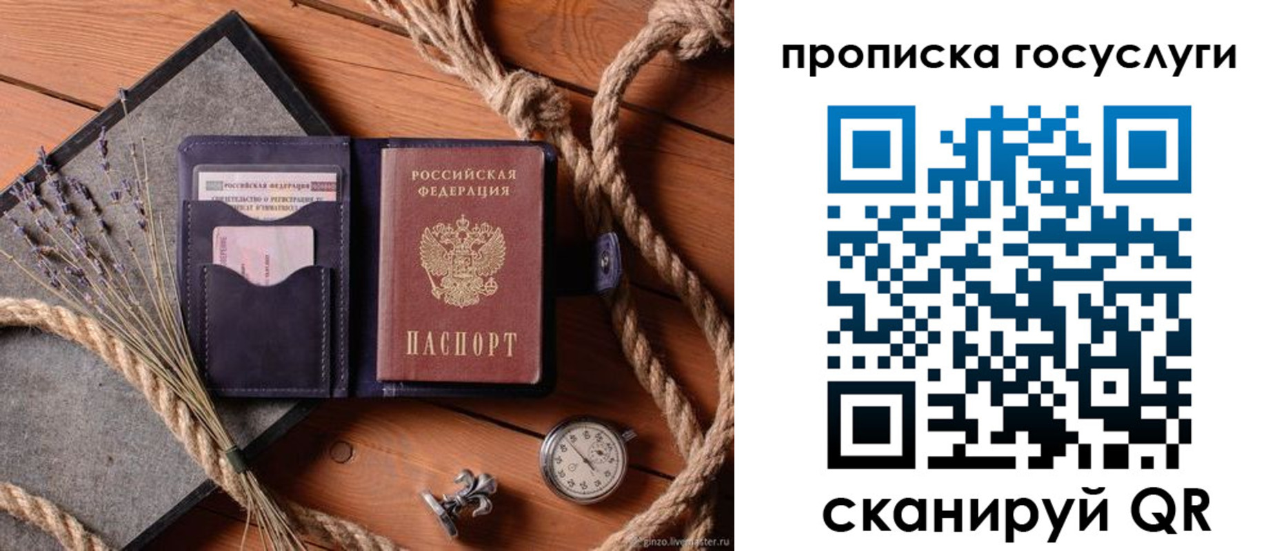 прописка поиск в Снежногорске